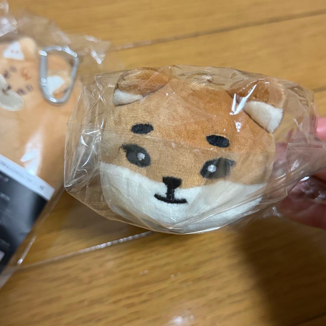 DAY6 デニマルズ ヨンケイ キーリング ぬいぐるみ 大邱 グッズ 2点