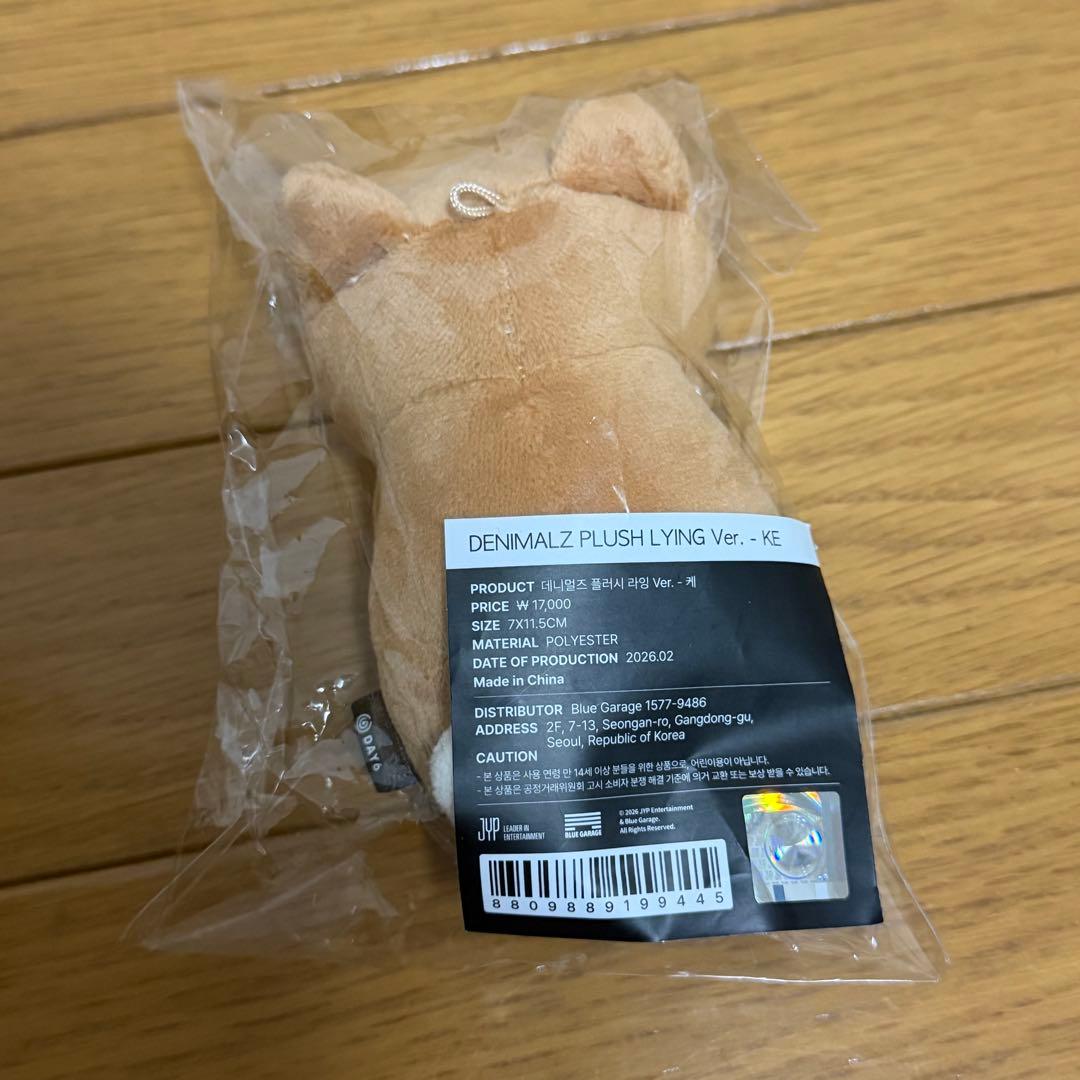 DAY6 デニマルズ ヨンケイ キーリング ぬいぐるみ 大邱 グッズ 2点