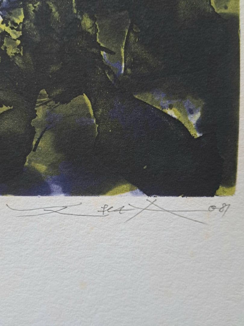 ザオ・ウーキー　趙無極　版画　中国人画家　奈良美智　村上隆