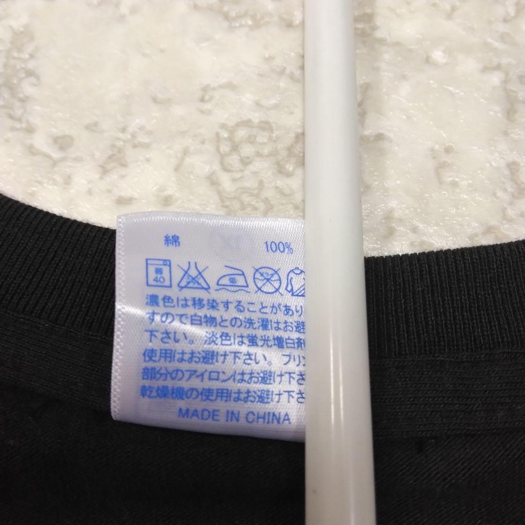 FRUITPOCHETTE　2014　Tシャツ　XLサイズ