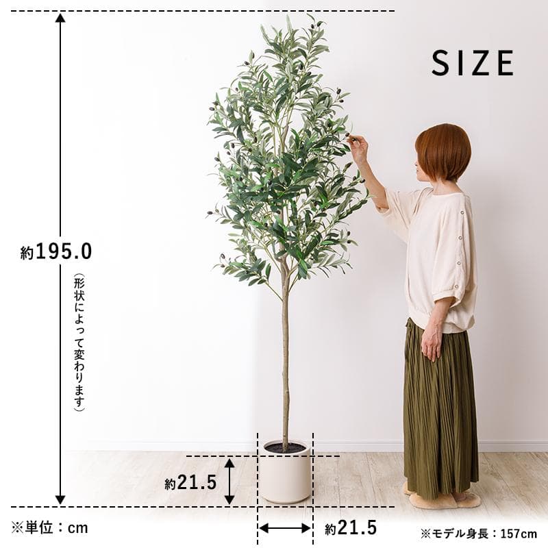 【新品同様】大型 リアル 光触媒 フェイクグリーン オリーブ 高さ約195cm