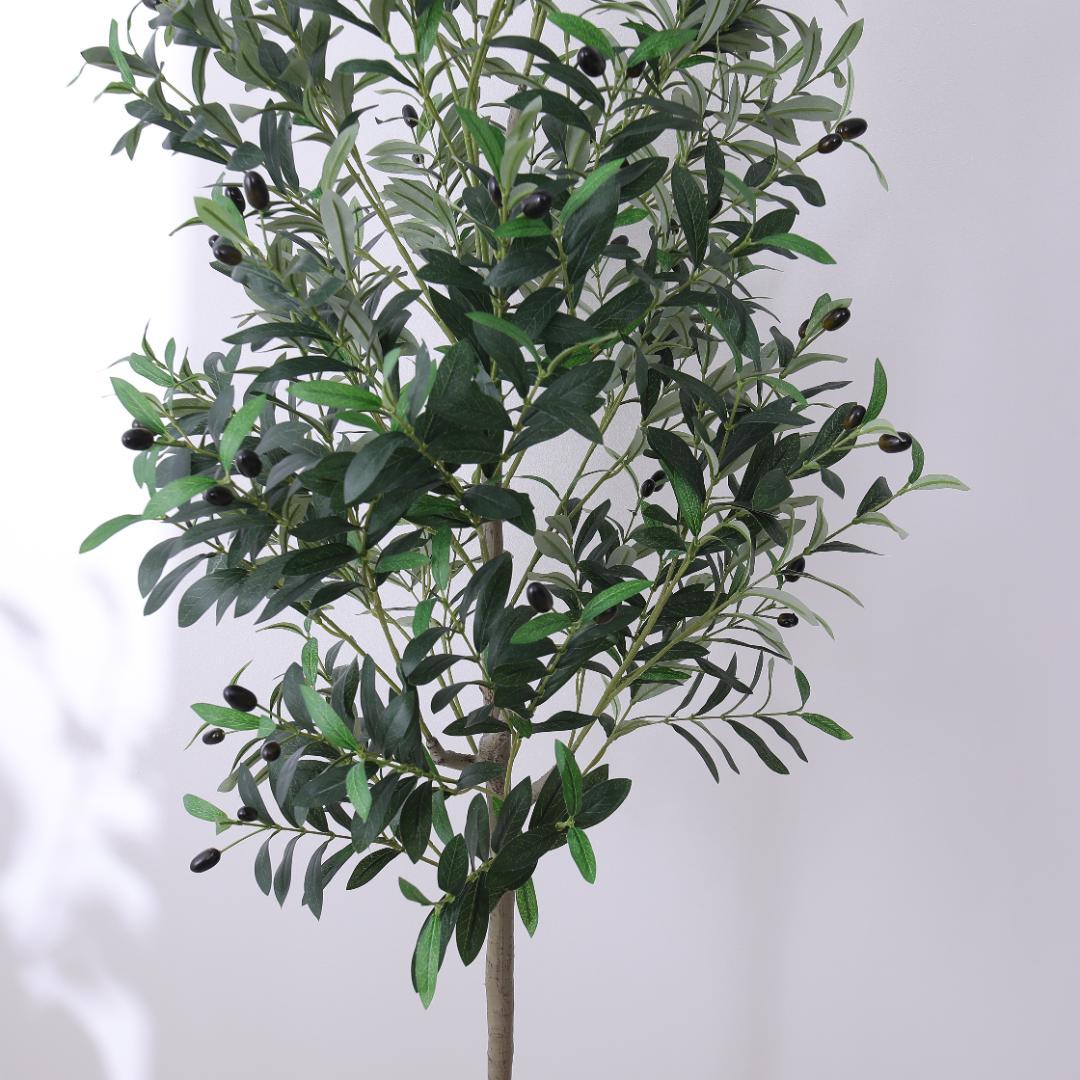 【新品同様】大型 リアル 光触媒 フェイクグリーン オリーブ 高さ約195cm