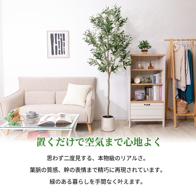 【新品同様】大型 リアル 光触媒 フェイクグリーン オリーブ 高さ約195cm