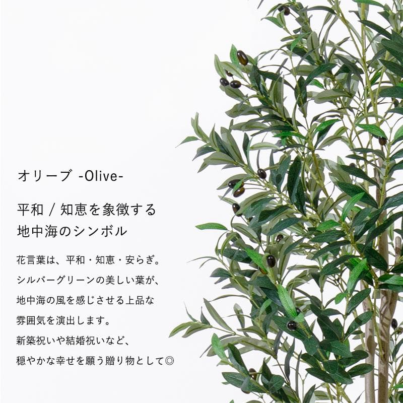 【新品同様】大型 リアル 光触媒 フェイクグリーン オリーブ 高さ約195cm
