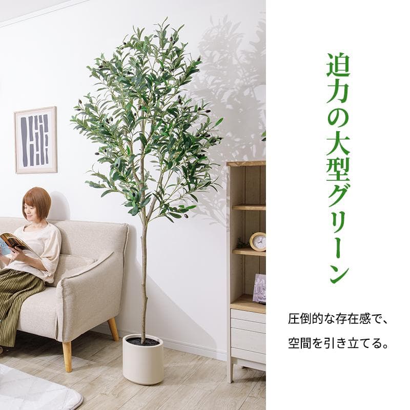 【新品同様】大型 リアル 光触媒 フェイクグリーン オリーブ 高さ約195cm