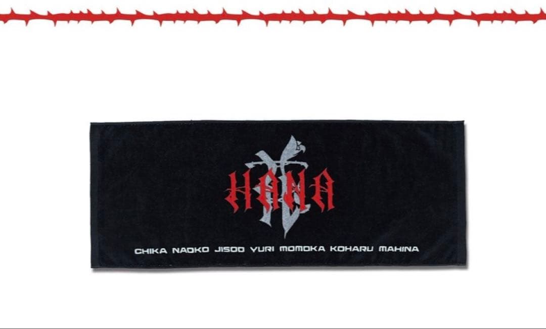【新品】Lサイズ HANA ロゴTシャツ ロゴタオル セット