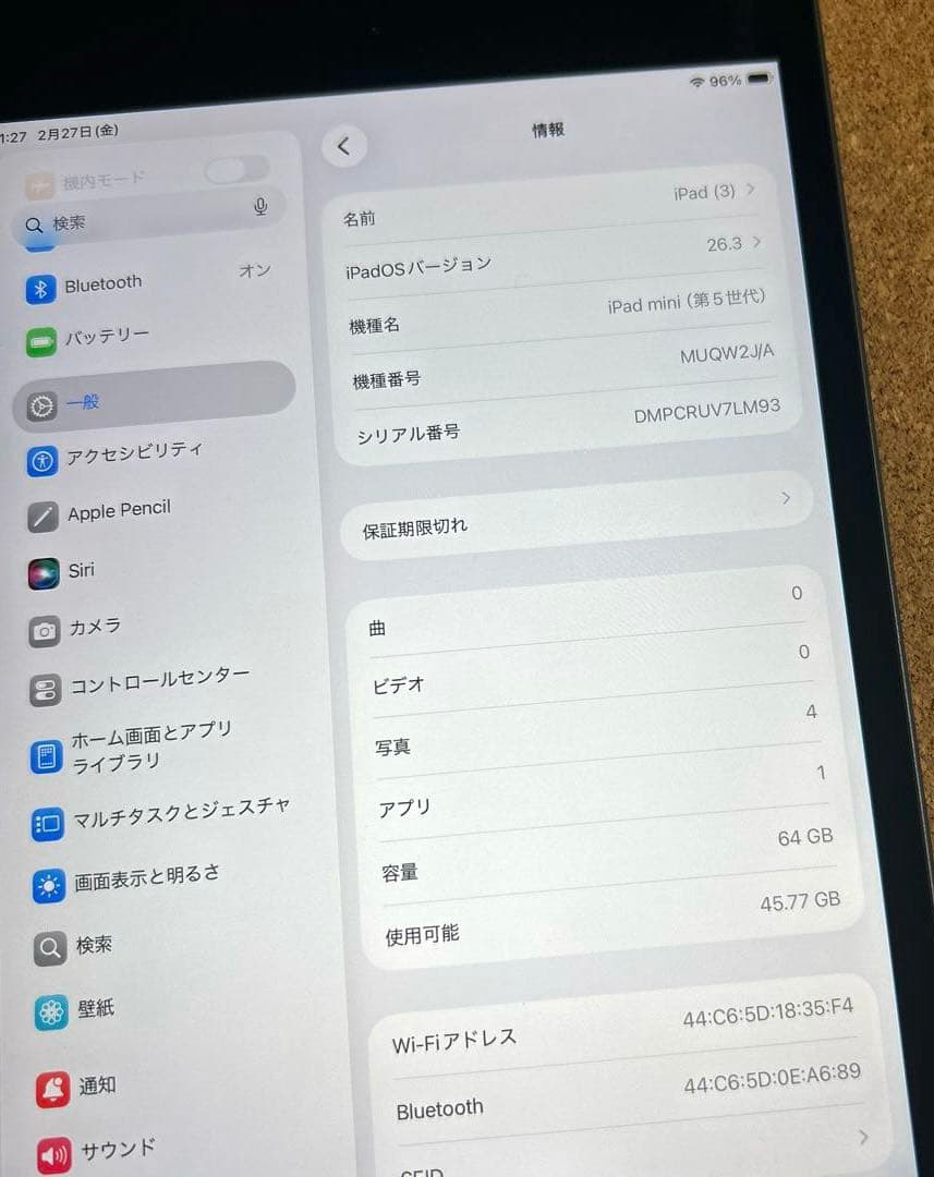 iPad mini5 第5世代 64GB (30)