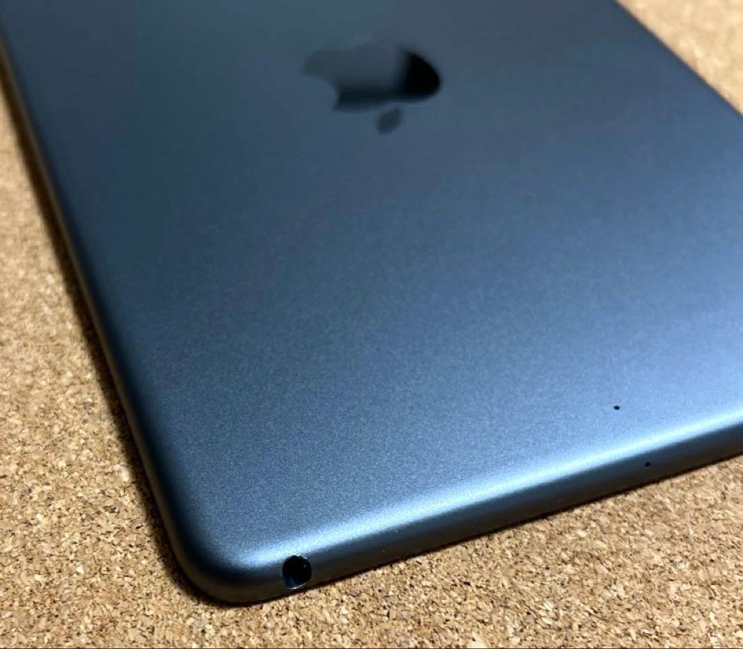 iPad mini5 第5世代 64GB (30)