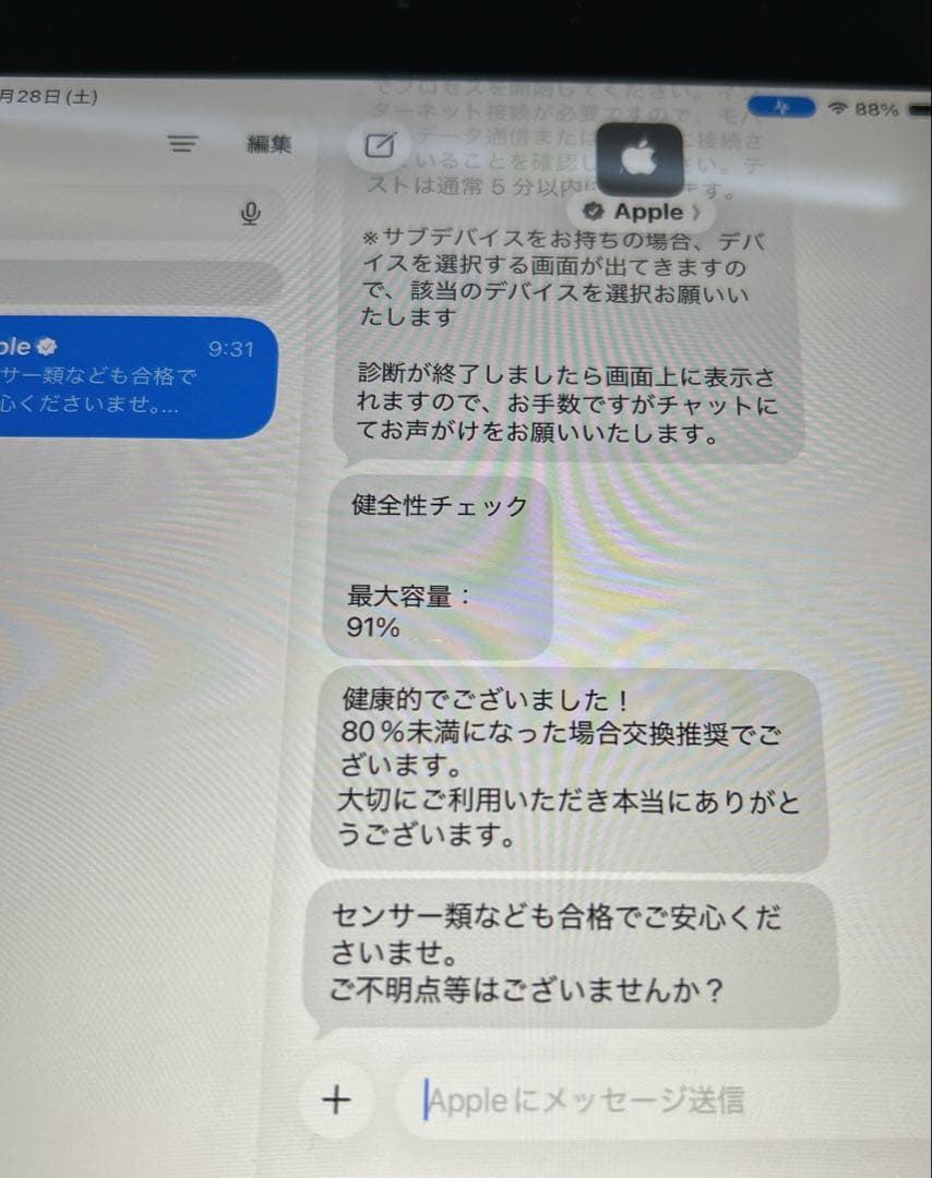 iPad mini5 第5世代 64GB (30)