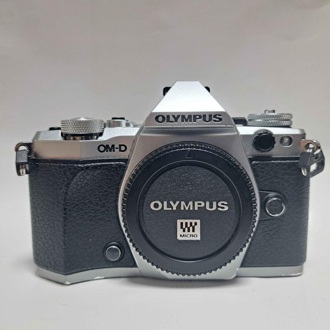 ※2/28まで OLYMPUS OM-D E-M5 MarkⅡ【中古美品】