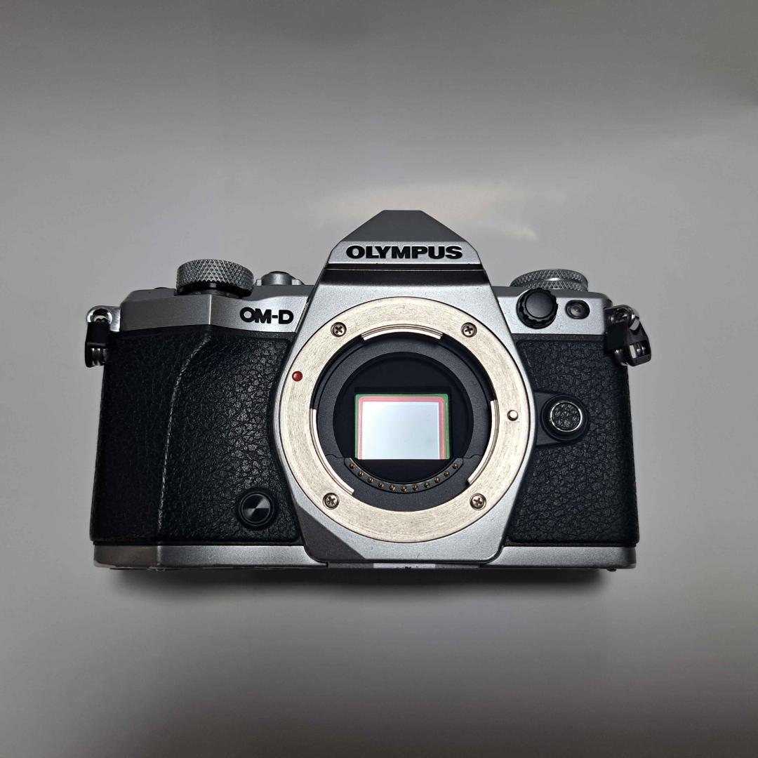 ※2/28まで OLYMPUS OM-D E-M5 MarkⅡ【中古美品】