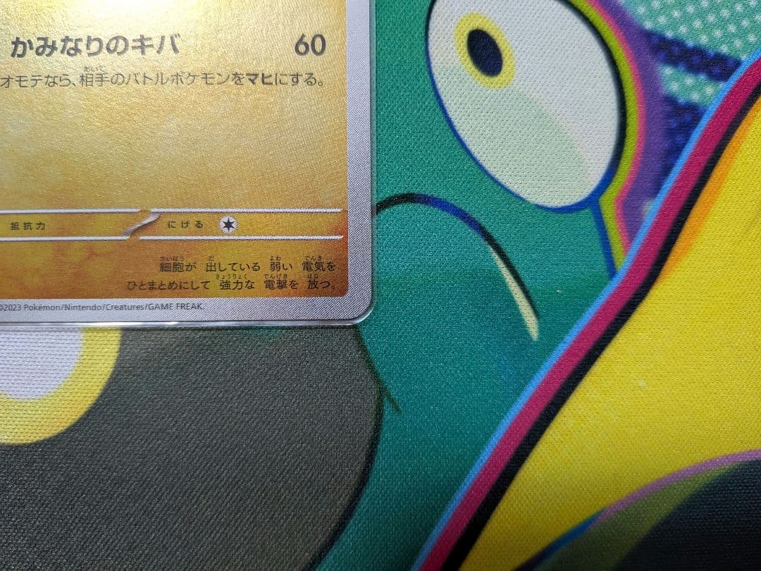 長場 ニンフィア サンダース