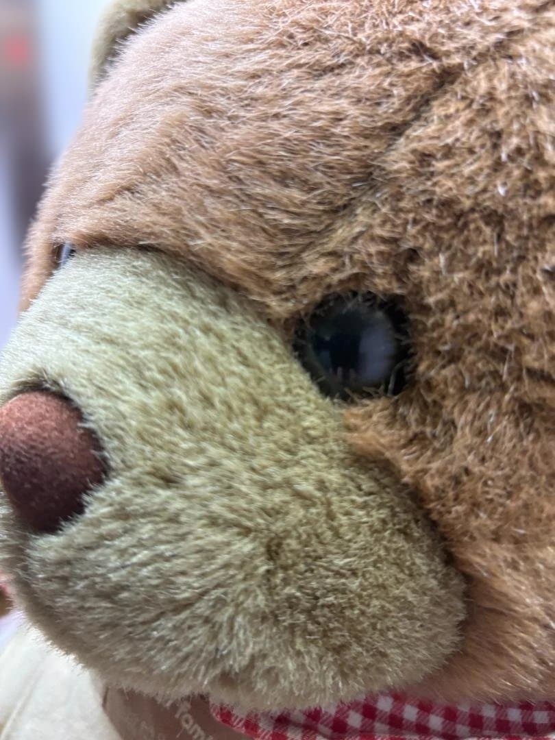 シルバニアファミリーぬいぐるみ　シルバニアフレンズ ブラウンくまさん