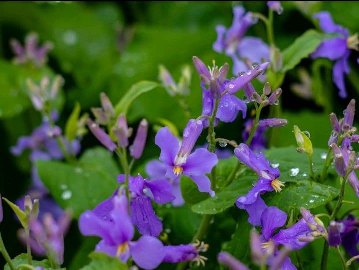 【美品】OLYMPUS OM-D E-M5 Mark III 本体　元箱付