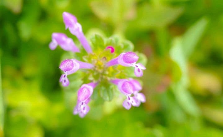 【美品】OLYMPUS OM-D E-M5 Mark III 本体　元箱付