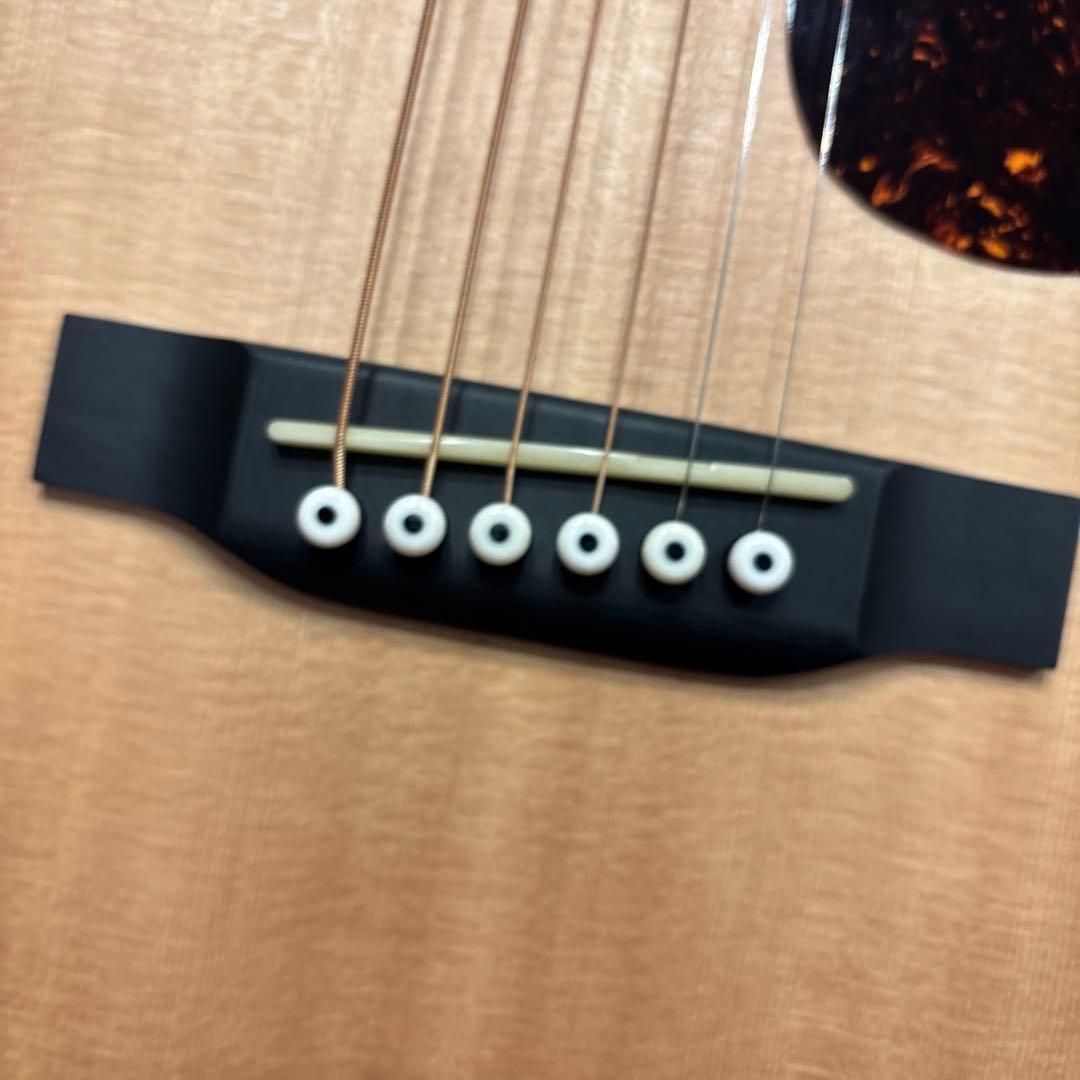 MARTIN ( マーティン ) LX1RE ミニエレアコ