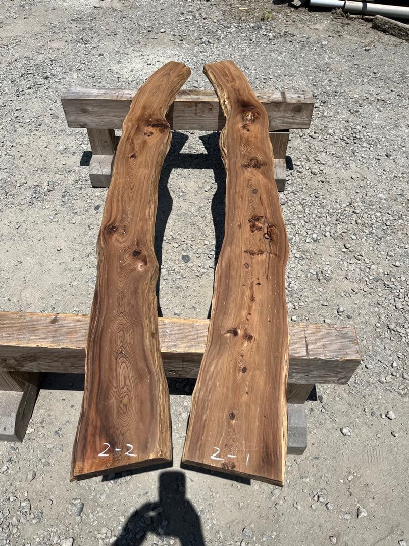樹齢約800年　杉　2-1.2 板　銘木　看板　レジン　テーブル パワーウッド