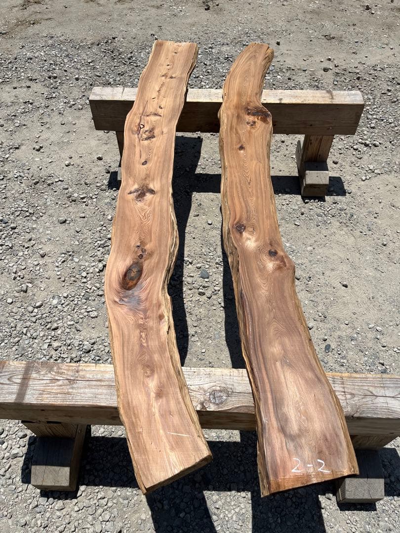 樹齢約800年　杉　2-1.2 板　銘木　看板　レジン　テーブル パワーウッド