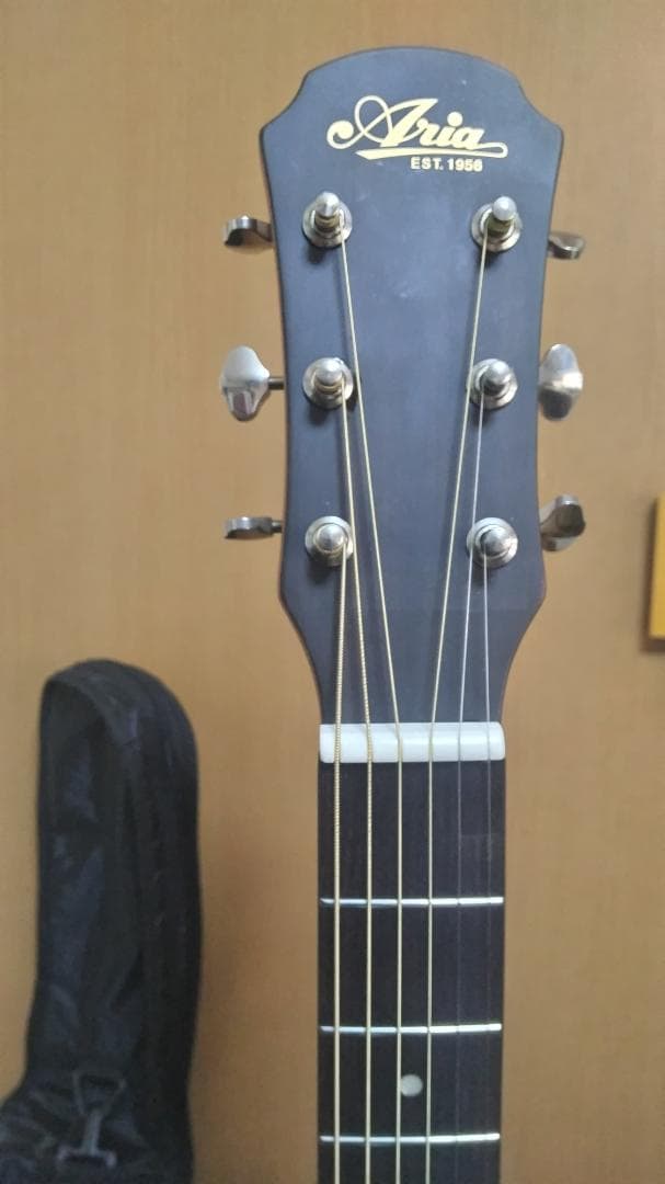 ❤️弦高調整済「Aria アリア 211-N 」＋ケース ('▽')★ナット幅広