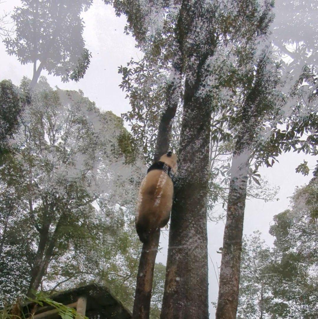 【11/16発売予定】るんるんふわふわシャンタシャン♡リバーシブルワンピース