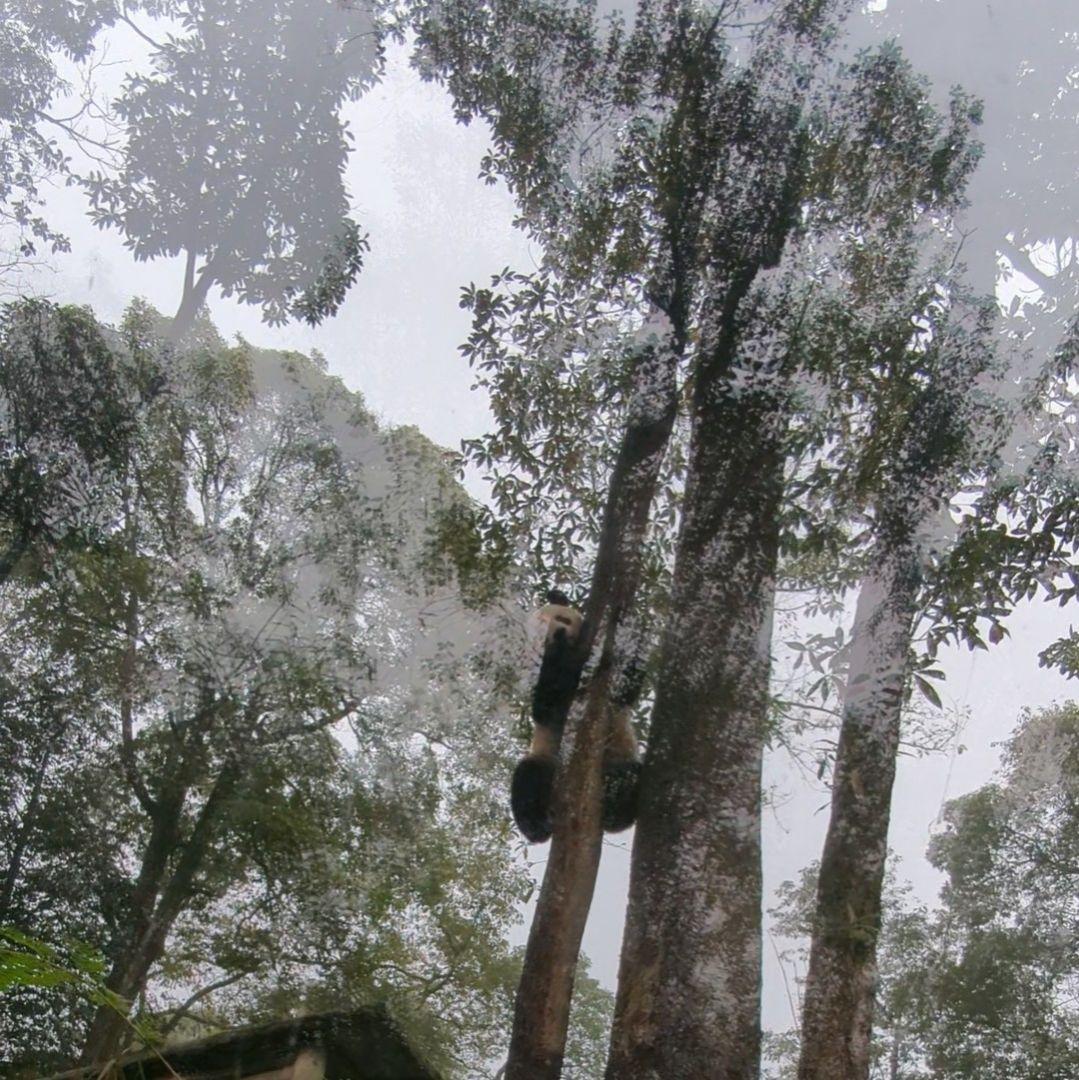 【11/16発売予定】るんるんふわふわシャンタシャン♡リバーシブルワンピース