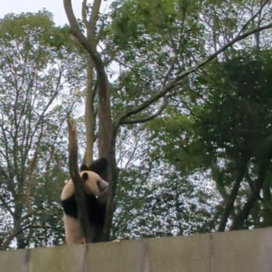 【11/16発売予定】るんるんふわふわシャンタシャン♡リバーシブルワンピース