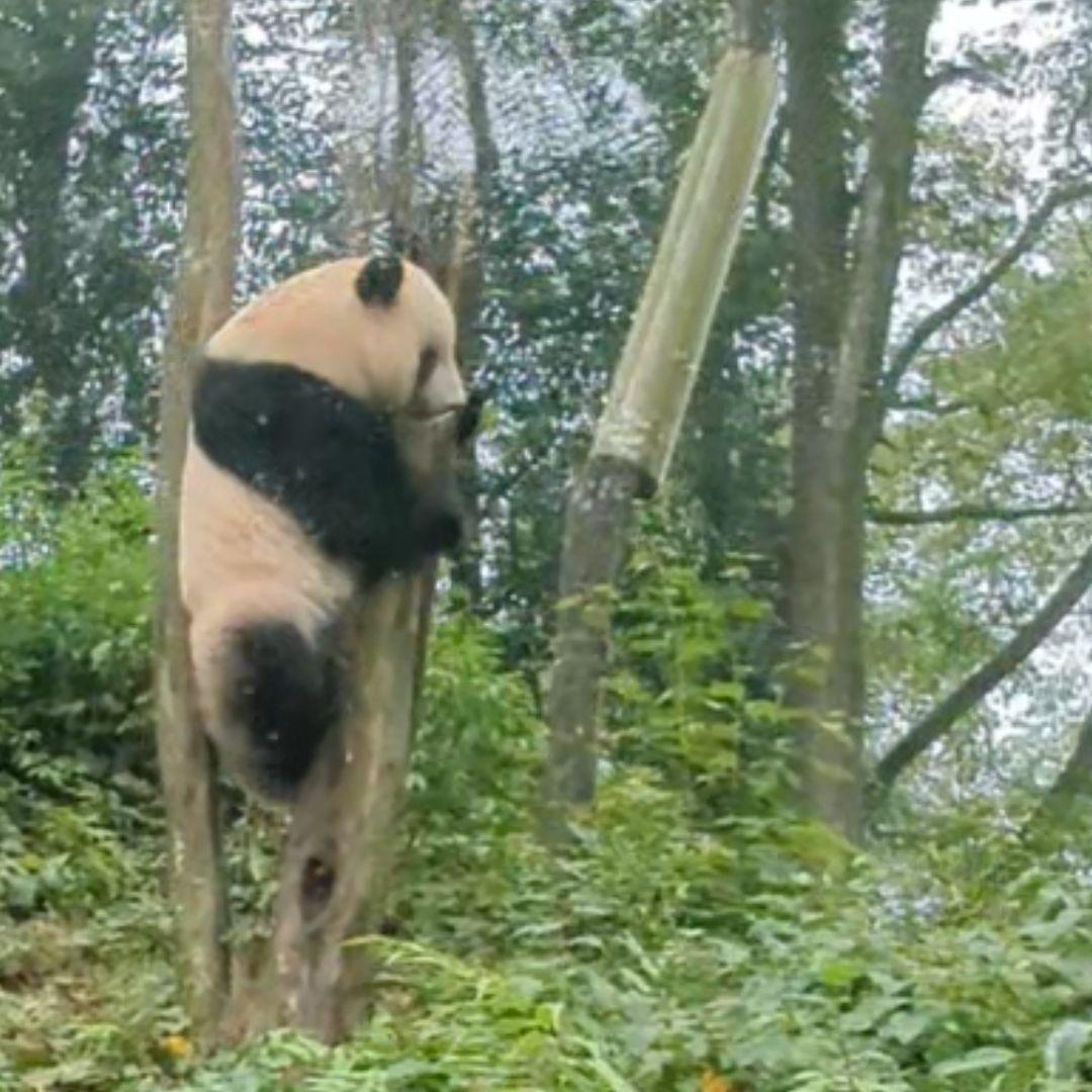 【11/16発売予定】るんるんふわふわシャンタシャン♡リバーシブルワンピース