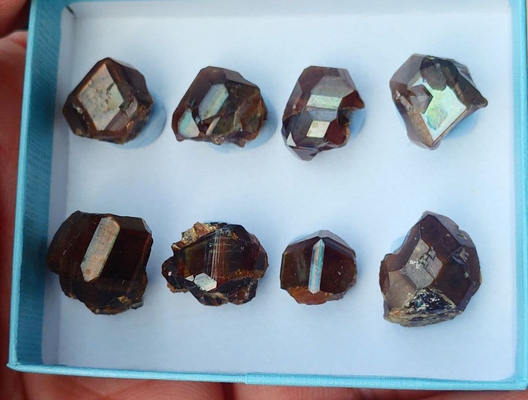 最終値下げ 奈良県天川村 ｎ面の美しいレインボーガーネット ８点