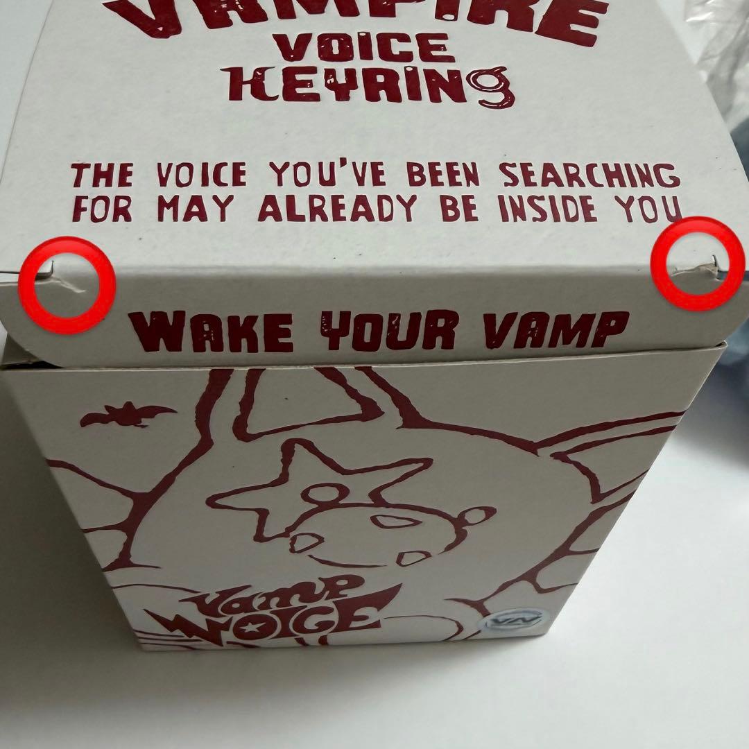 ENHYPEN the sin:vanish ジョンウォン ボイスキーリング