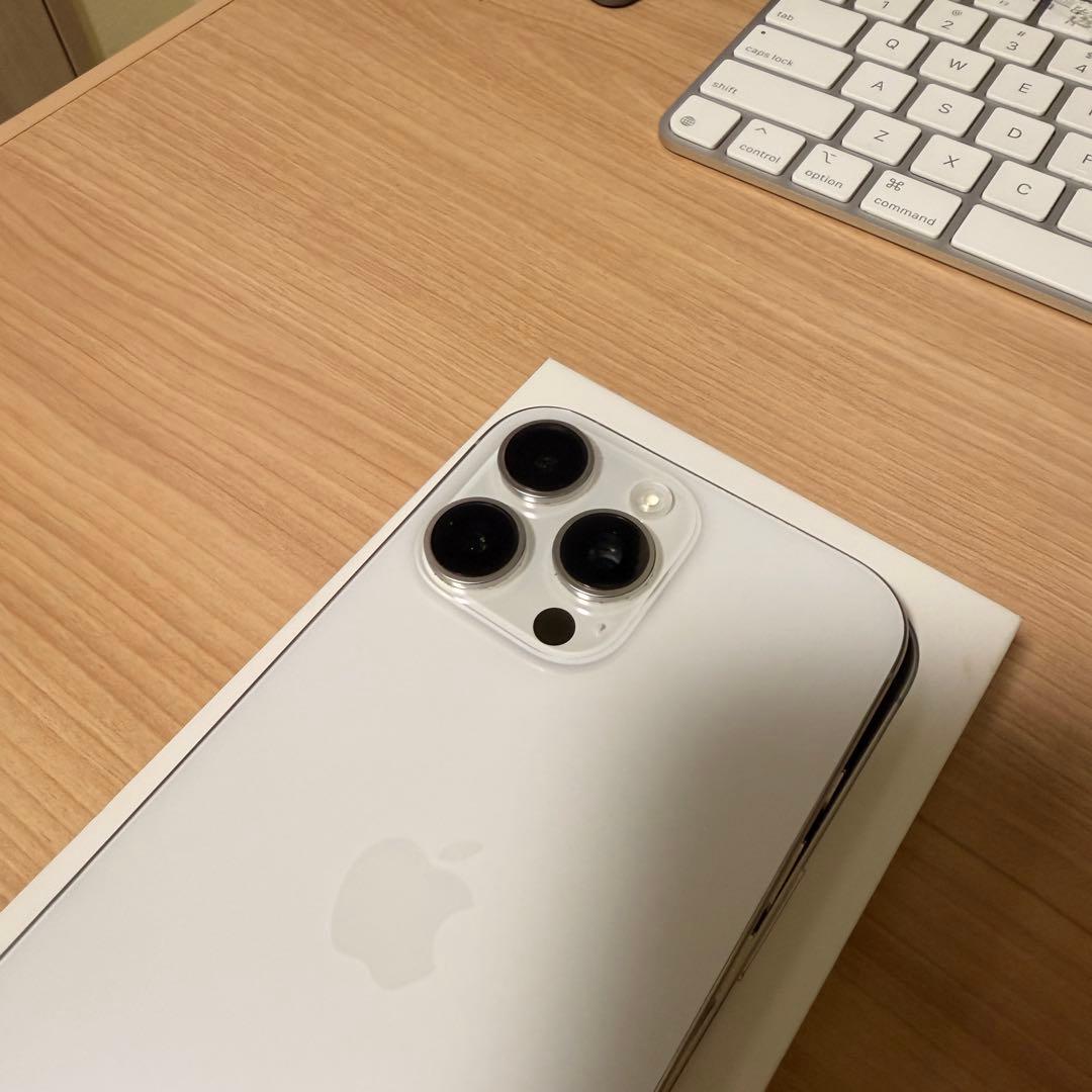 美品 iPhone 16 Pro Max シルバー おまけ付き（ガラスフィルム）