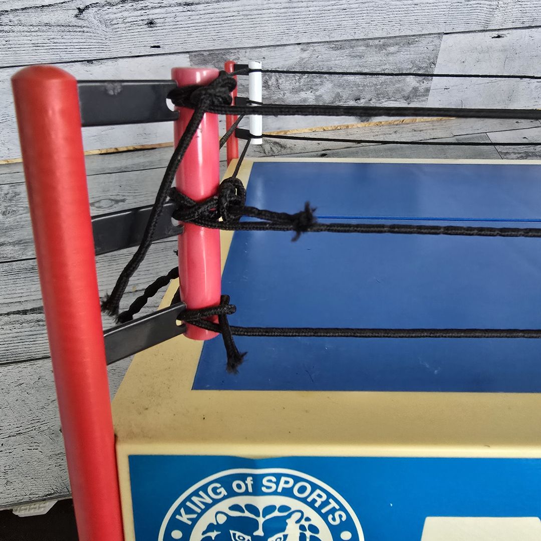 超貴重‼️新日本プロレス ワールドプロレスリング ミニリング