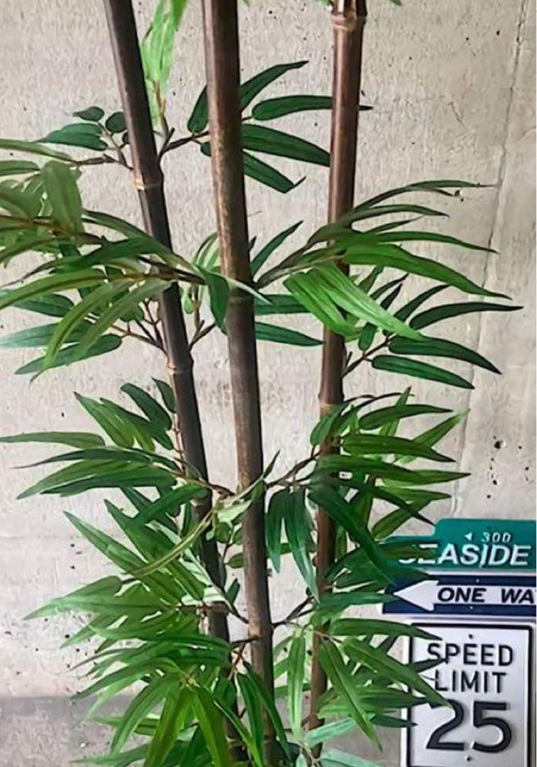 光触媒　人工観葉植物　ウォールグリーン　フェイクグリーン　黒竹@ad