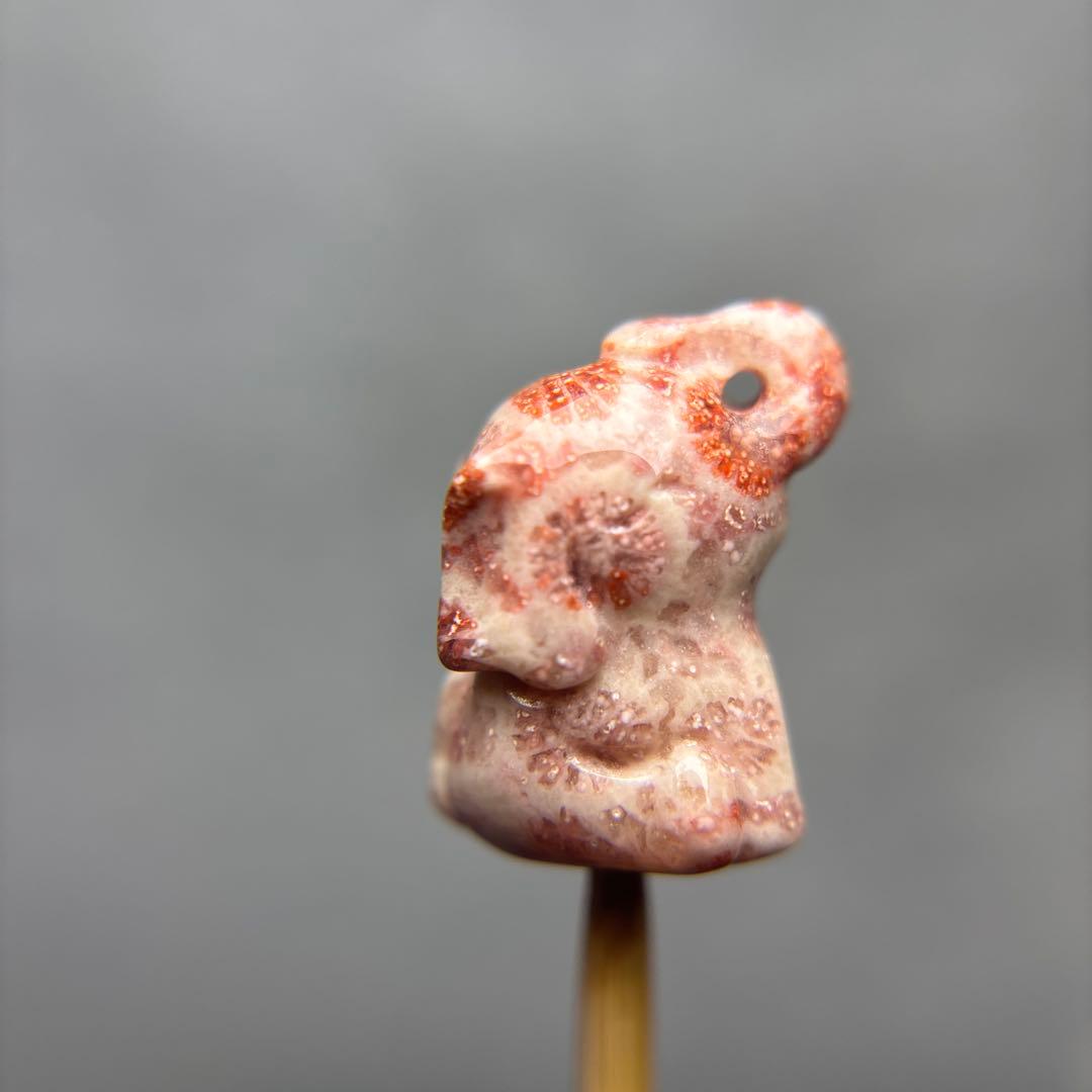 もんちゃんフォッシルコーラル　象パーツ　1-164