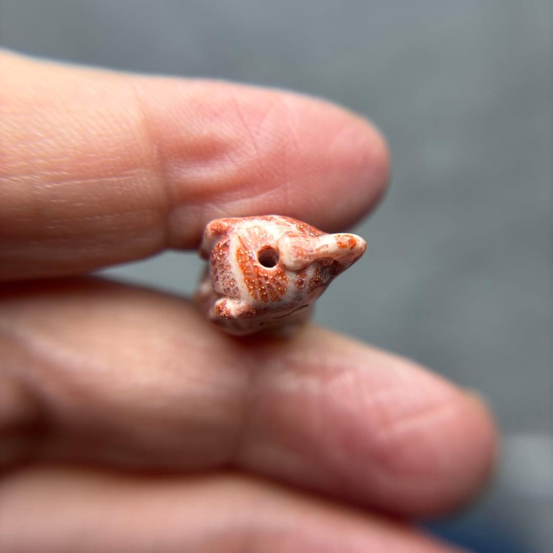 もんちゃんフォッシルコーラル　象パーツ　1-164