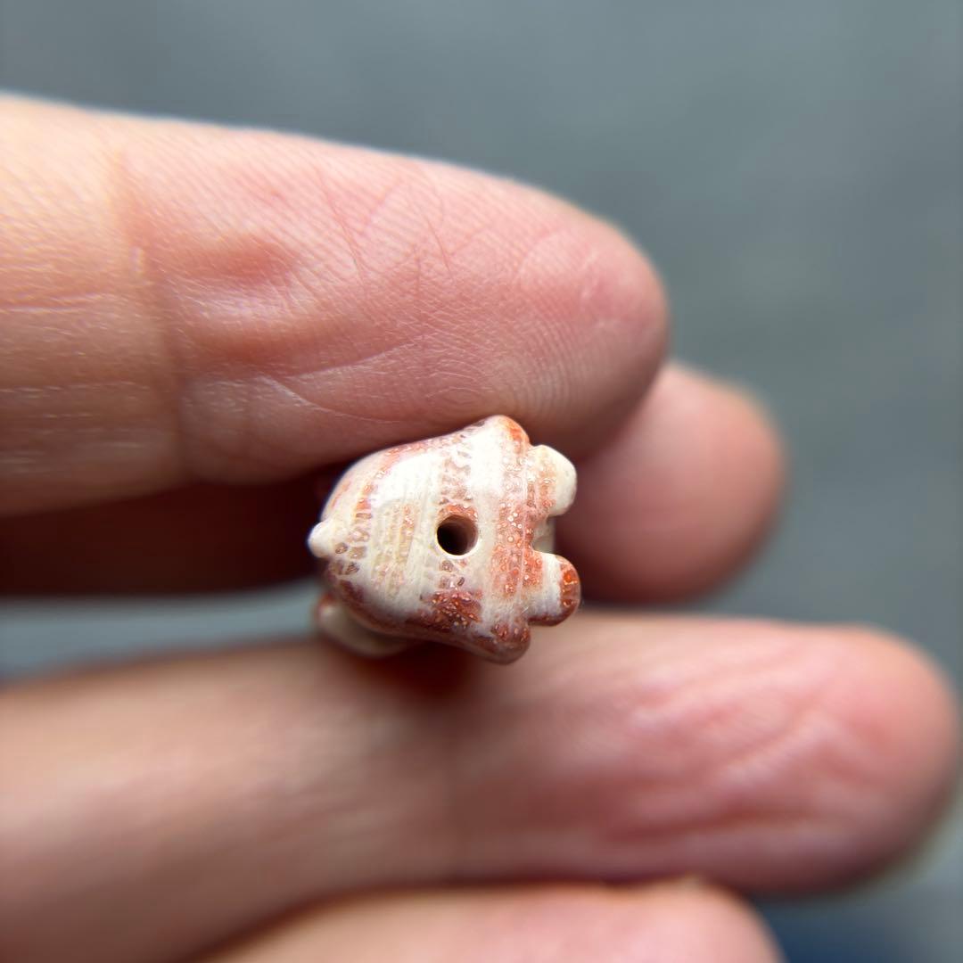 もんちゃんフォッシルコーラル　象パーツ　1-164