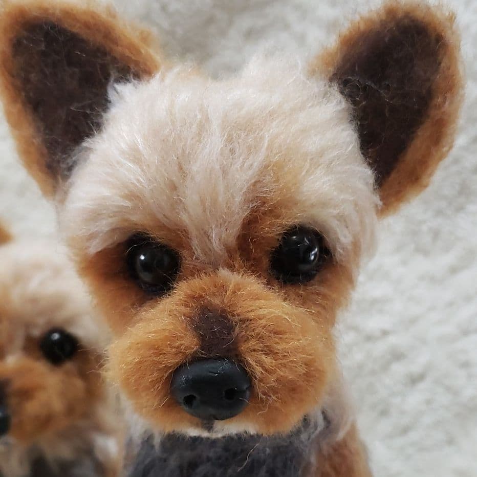 羊毛フェルト なおしん様