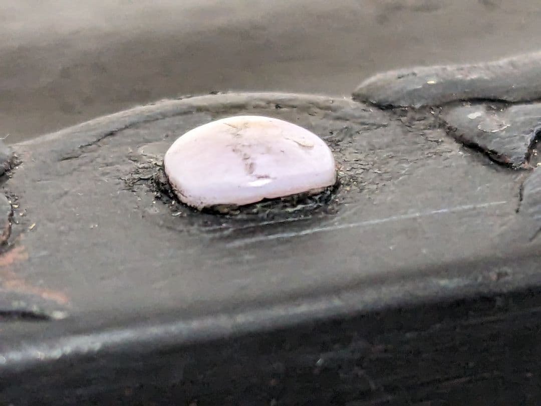 ♦中国硯 古玩 硯蓋 縞黒檀 龍文様硯 文房四宝 古美術品 アンティーク 骨董品