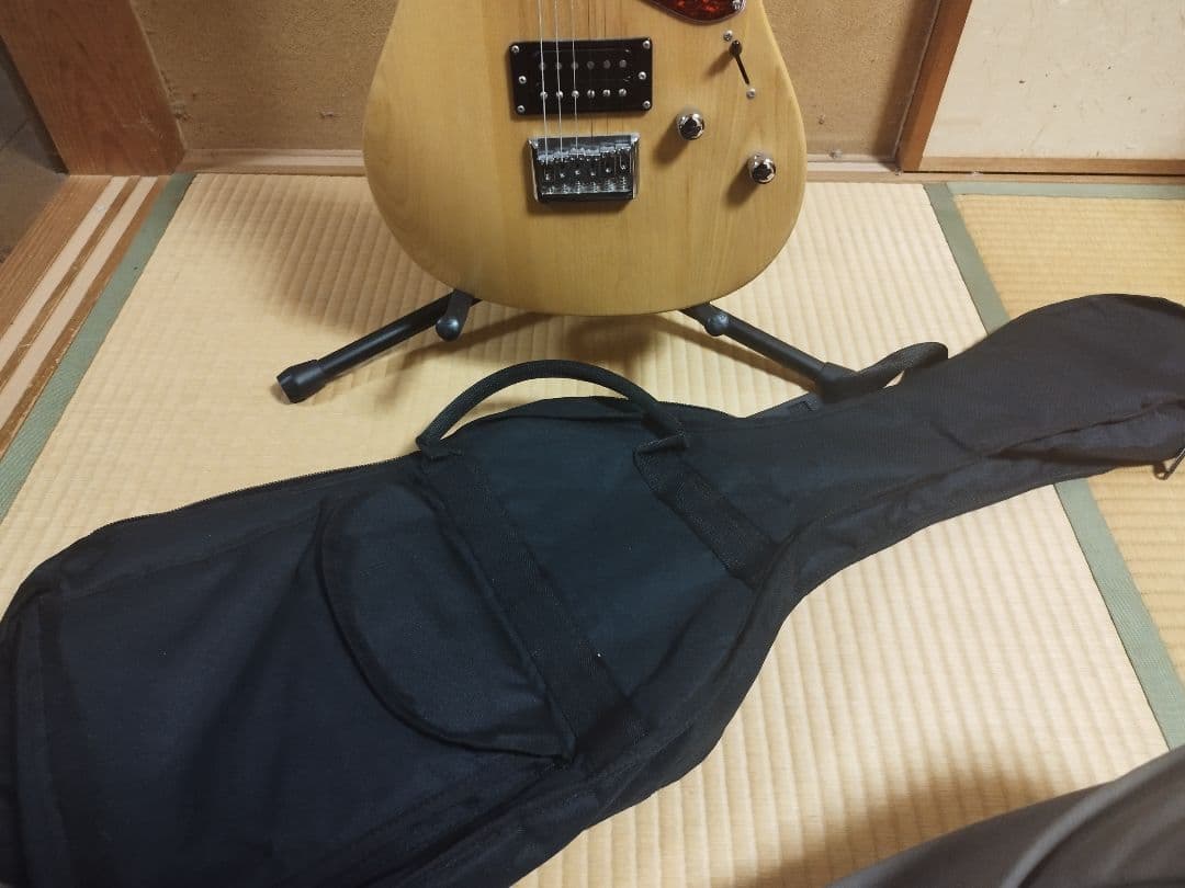 Grass Roots G-THROBBER-DX テレキャス エレキギター