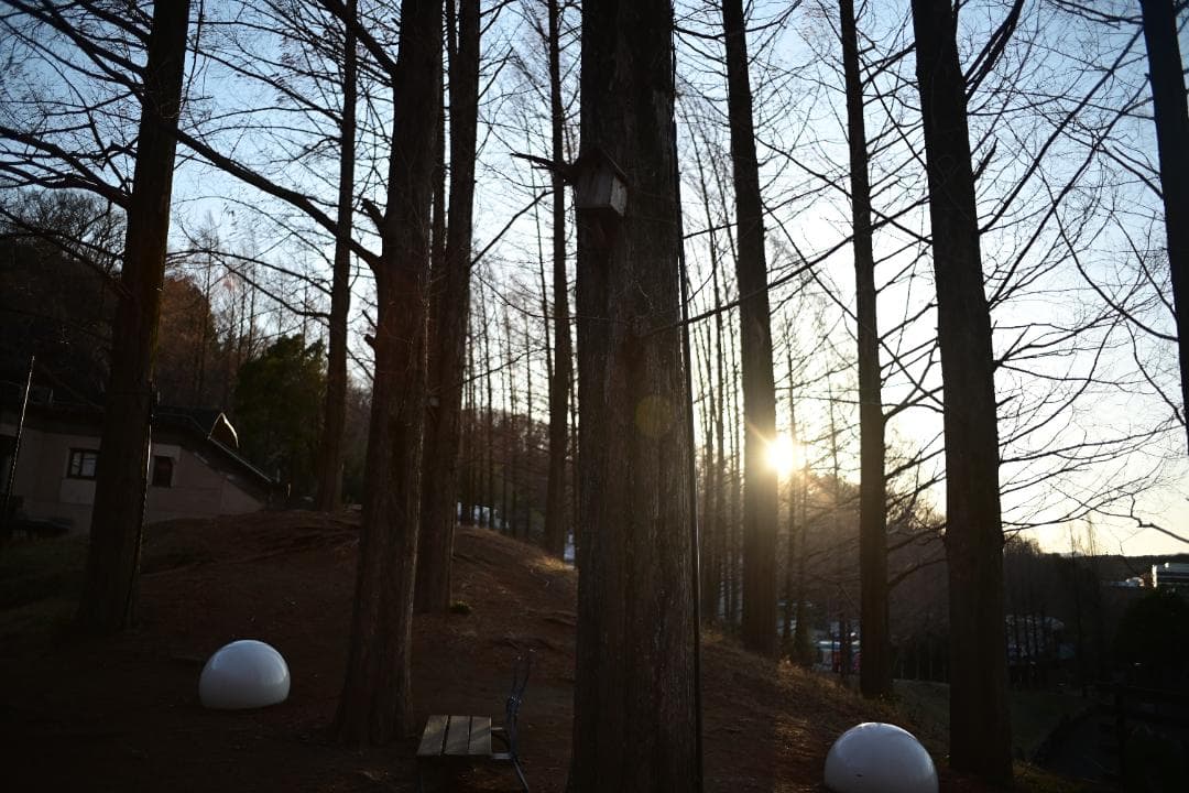 【緑のROKKOR】 MC ROKKOR-SI 28/2.5 分解清掃済 完動品