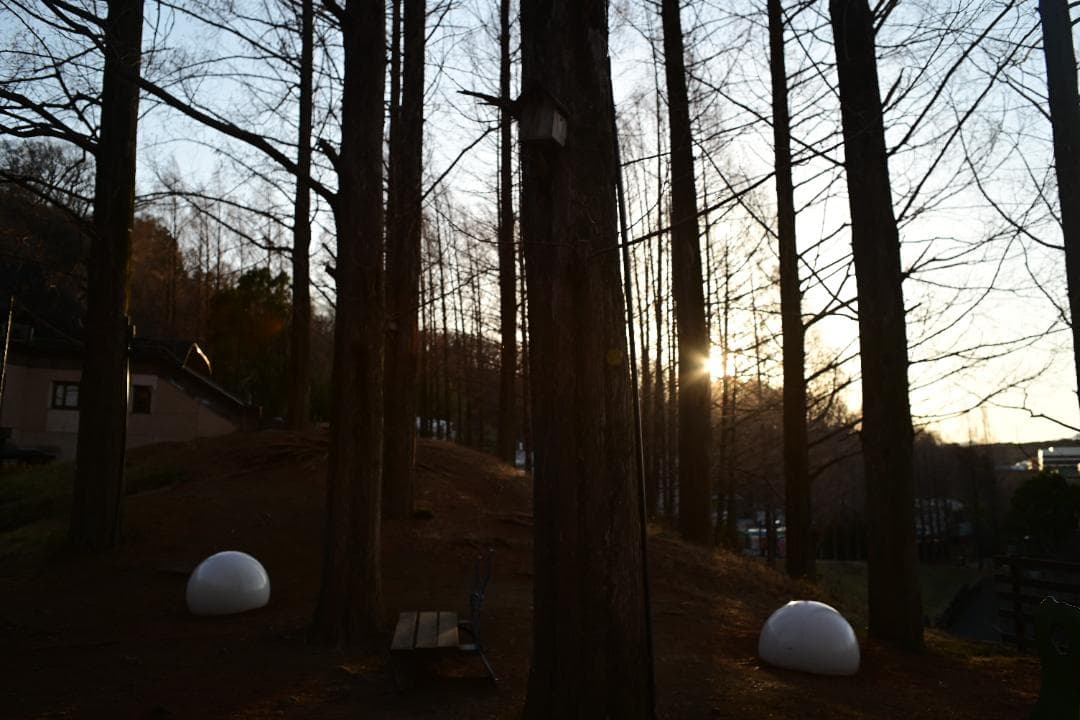 【緑のROKKOR】 MC ROKKOR-SI 28/2.5 分解清掃済 完動品