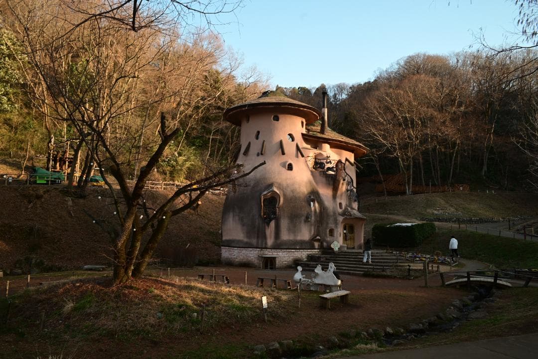 【緑のROKKOR】 MC ROKKOR-SI 28/2.5 分解清掃済 完動品