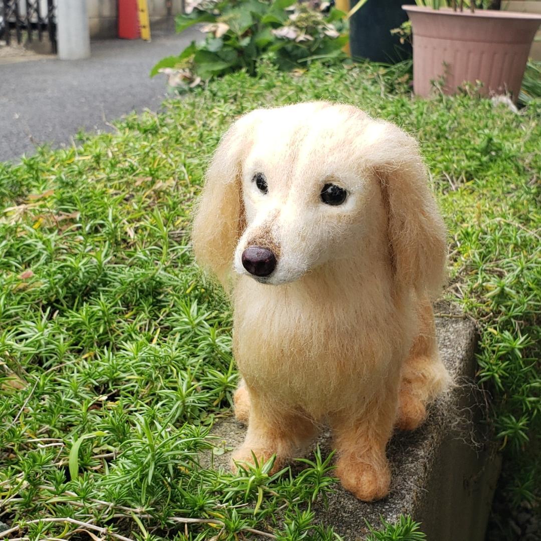 羊毛フェルト　オーダー　「リアルでかわいい」ワンちゃん（ネコちゃん）
