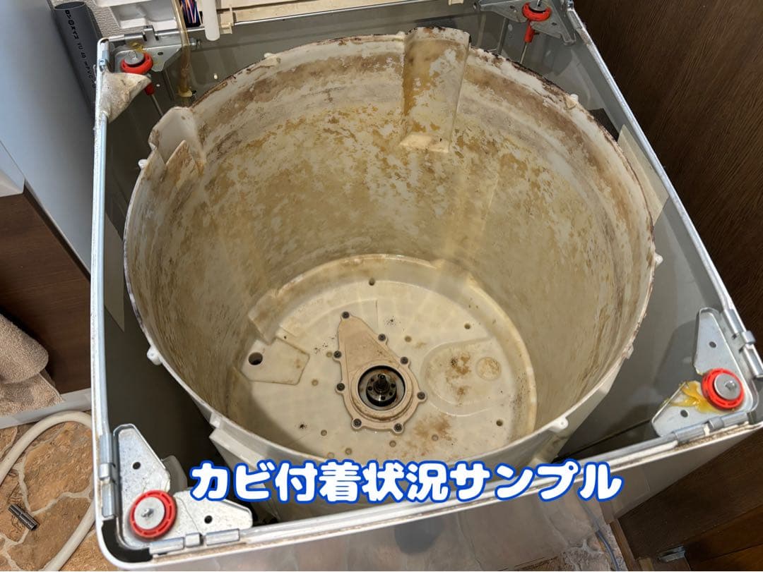 分解クリーニング・動作確認済み 東芝 5kg 2021年製