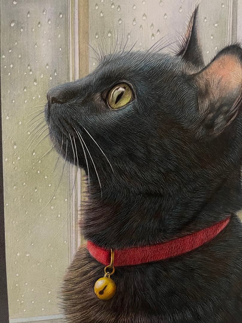 色鉛筆画.A4.黒猫.54