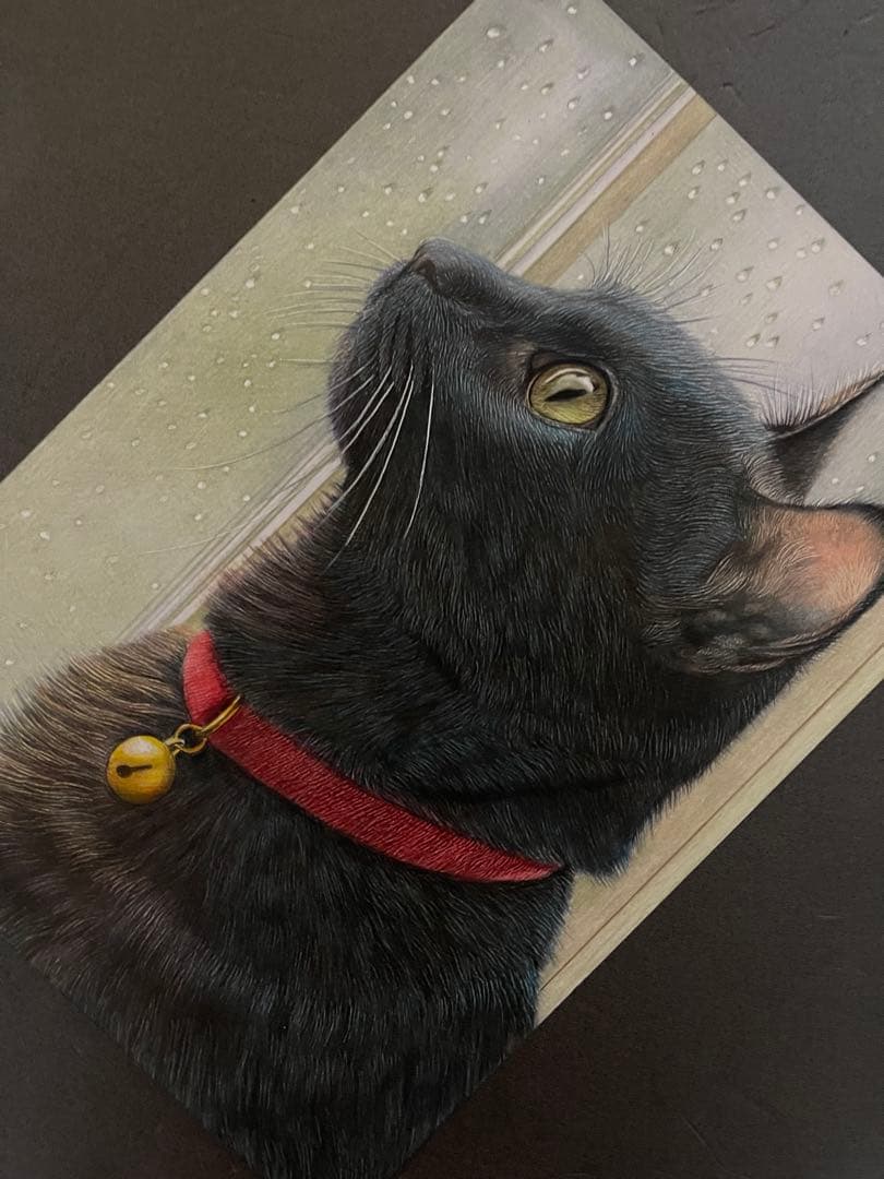 色鉛筆画.A4.黒猫.54