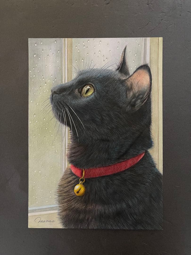 色鉛筆画.A4.黒猫.54