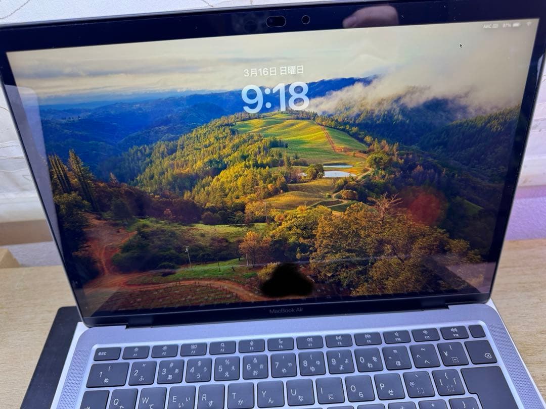 MacBook Air m1 Magic Mouse セット