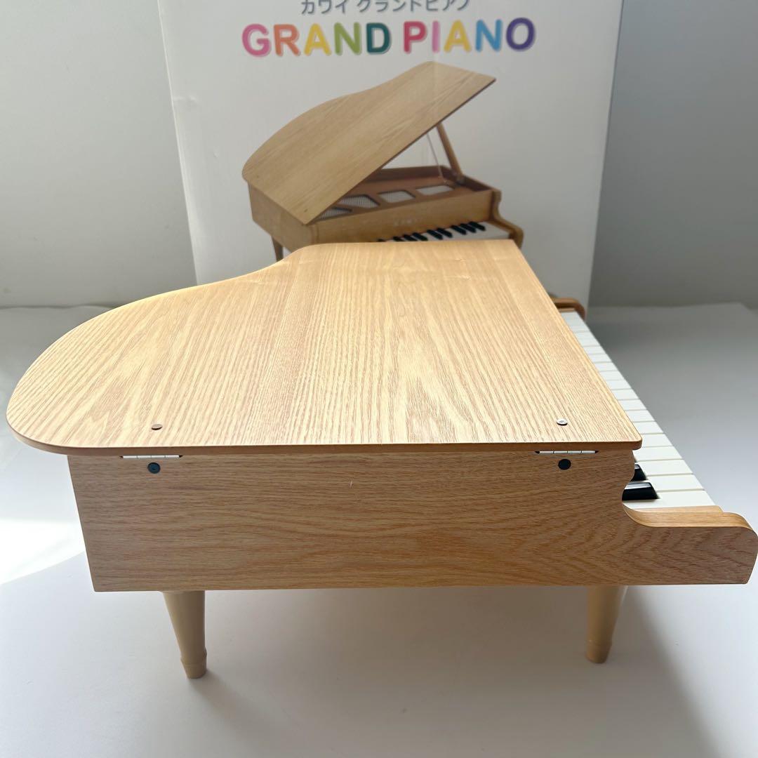 鍵盤楽器 mickeyS