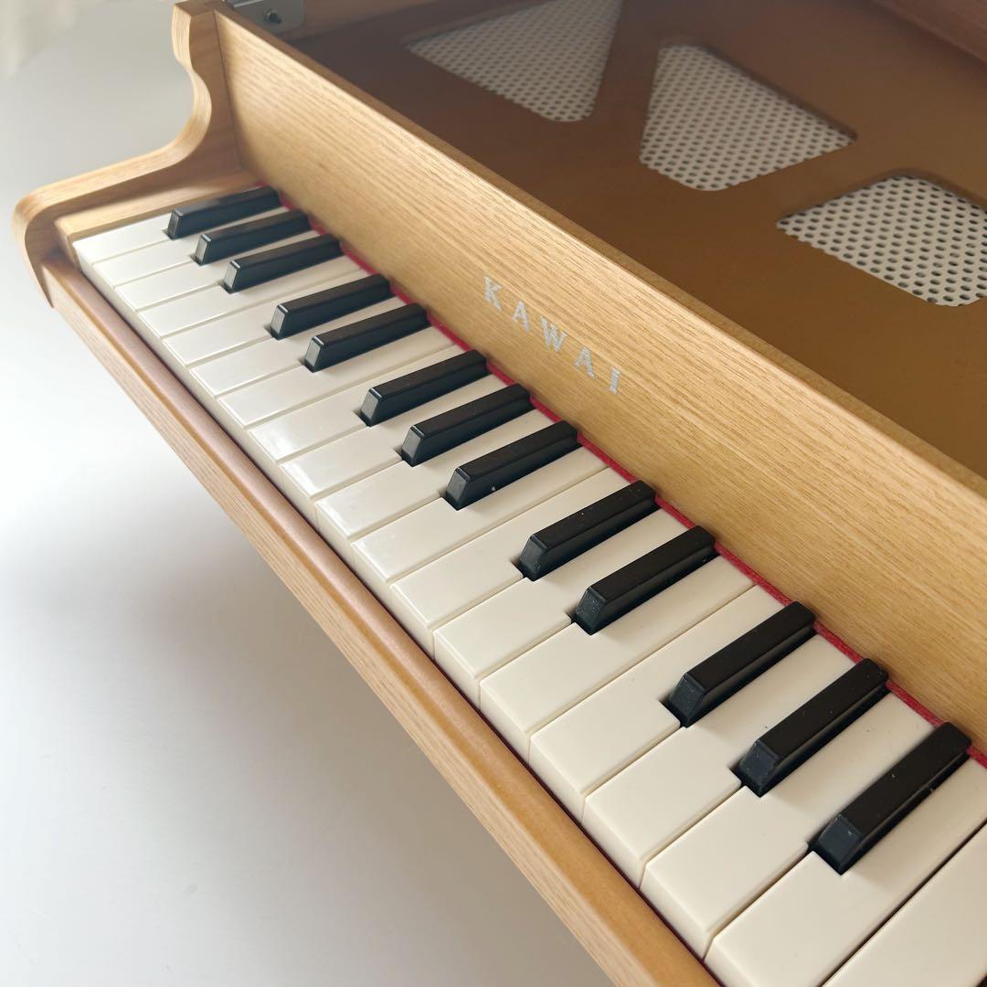 鍵盤楽器 mickeyS