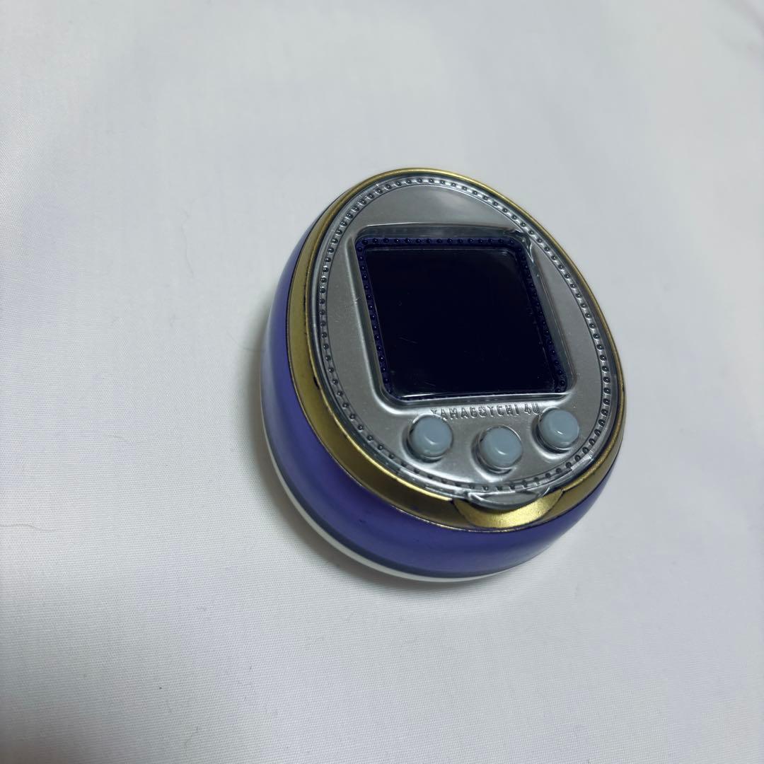 【レア】たまごっち パープル セット　動作確認済箱あり